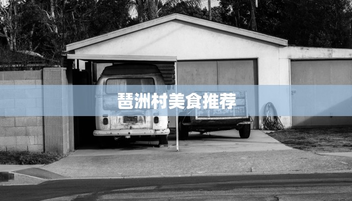 琶洲村美食推荐 琶洲村美食推荐