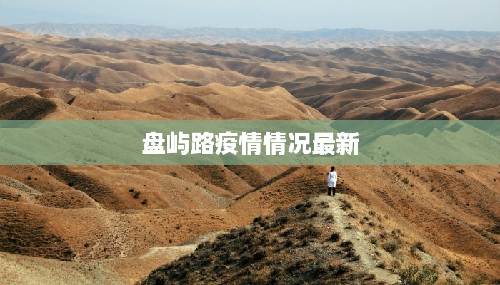 盘屿路疫情情况最新