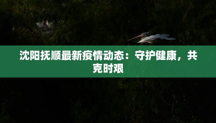 吴忠疫情最新物资：守护健康，温暖同行
