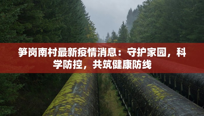 笋岗南村最新疫情消息:守护家园,科学防控,共筑健康防线 笋岗南村最新疫情消息:守护家园,科学防控,共筑健康防线
