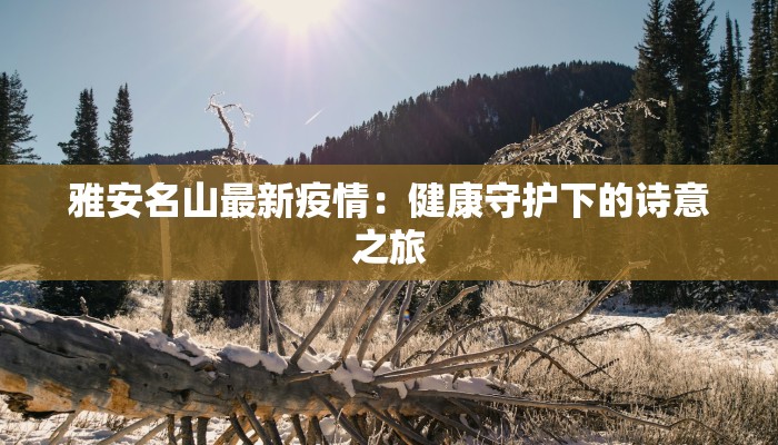 深圳今年最新疫情消息