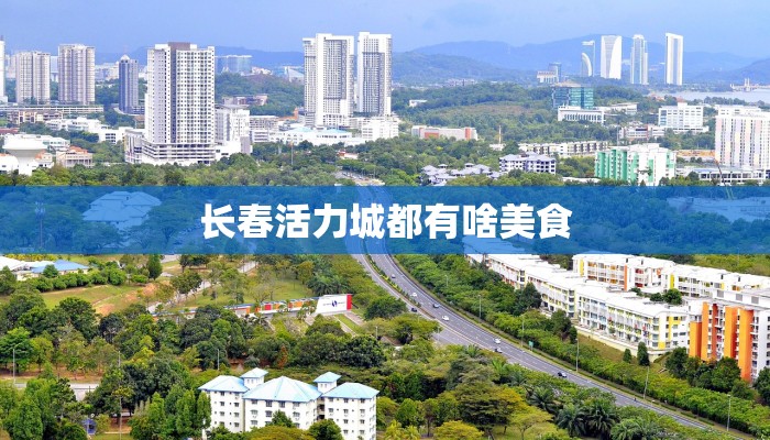 长春活力城都有啥美食