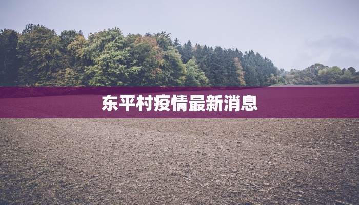 东平村疫情最新消息
