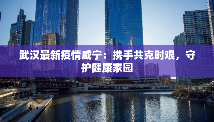 武汉最新疫情咸宁：携手共克时艰，守护健康家园