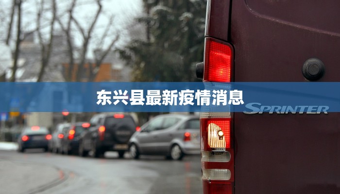 东兴县最新疫情消息