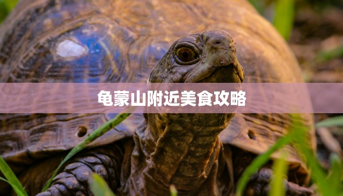 龟蒙山附近美食攻略 龟蒙山附近美食攻略
