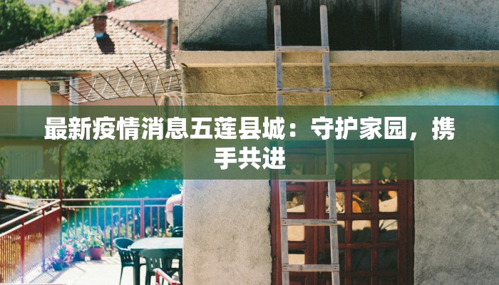 能送到崇明的团购