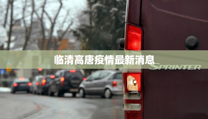 临清高唐疫情最新消息
