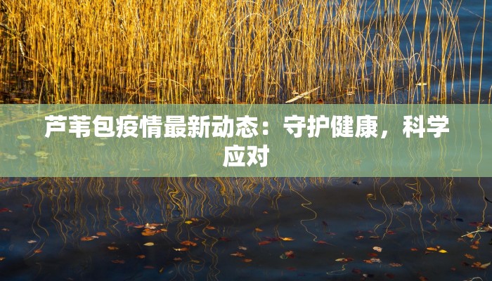 泉州最新疫情那人：守护家园的温暖力量