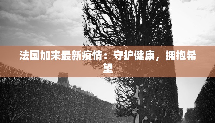 武汉抗击疫情方案最新 武汉抗击疫情方案最新