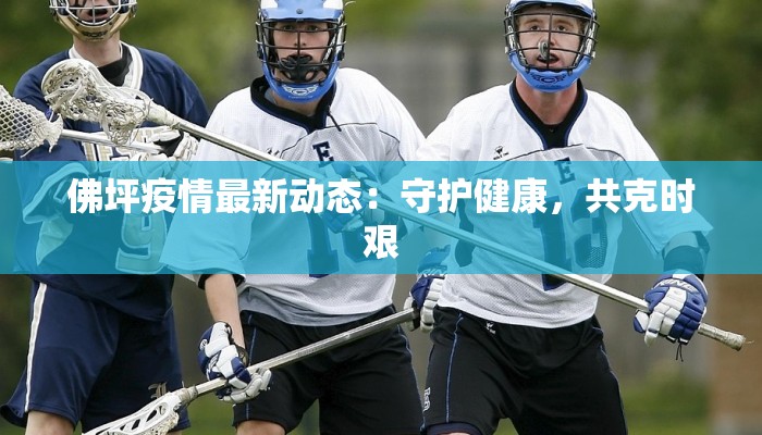 佛坪疫情最新动态：守护健康，共克时艰