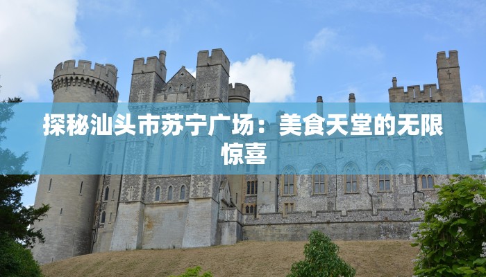 探秘汕头市苏宁广场：美食天堂的无限惊喜