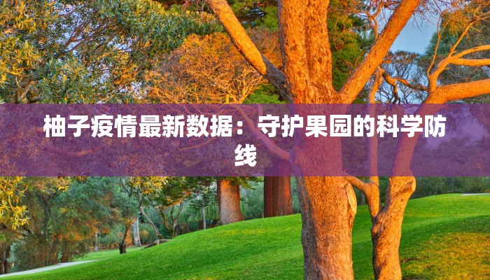 柚子疫情最新数据:守护果园的科学防线 柚子疫情最新数据:守护果园的科学防线