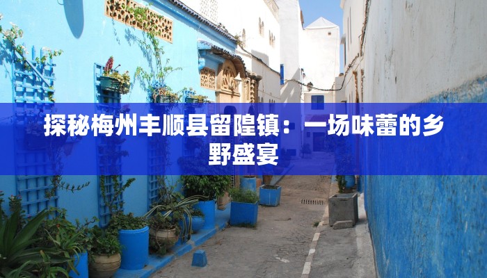 探秘梅州丰顺县留隍镇：一场味蕾的乡野盛宴