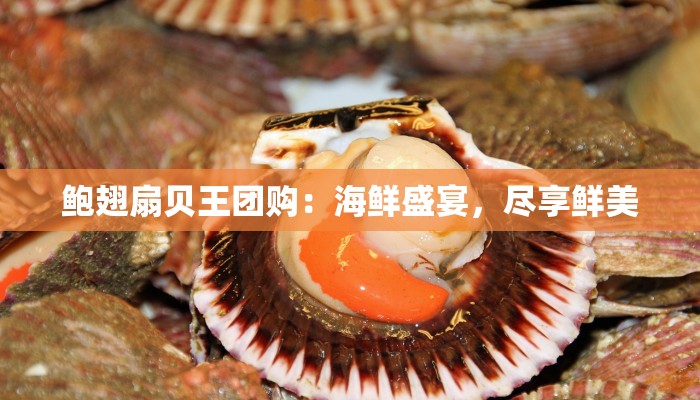 鲍翅扇贝王团购：海鲜盛宴，尽享鲜美