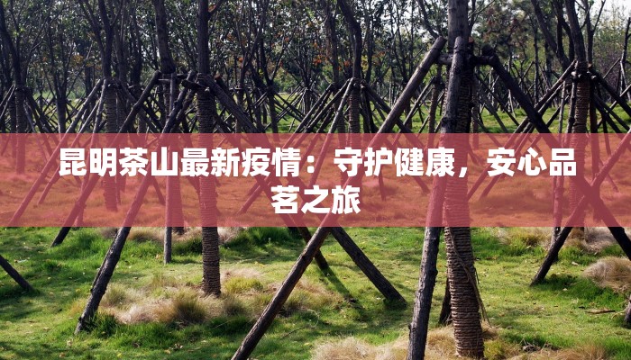 白塔区最新疫情通报 白塔区最新疫情通报