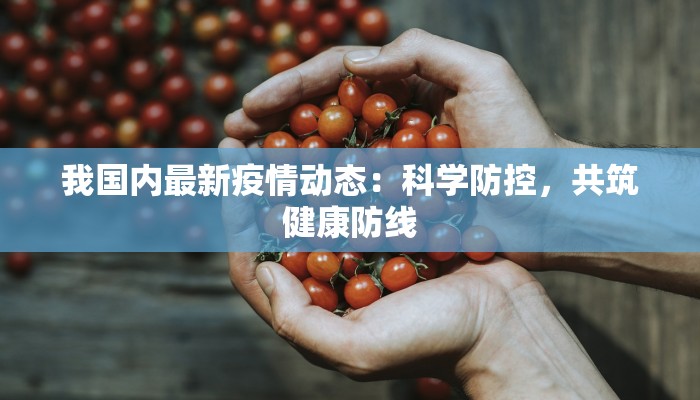 我国内最新疫情动态:科学防控,共筑健康防线 我国内最新疫情动态:科学防控,共筑健康防线