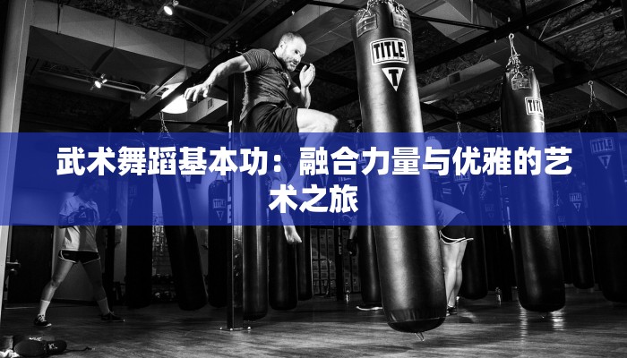 武术舞蹈基本功:融合力量与优雅的艺术之旅 武术舞蹈基本功:融合力量与优雅的艺术之旅